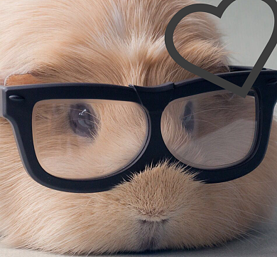 可爱卖萌朋友圈封面背景