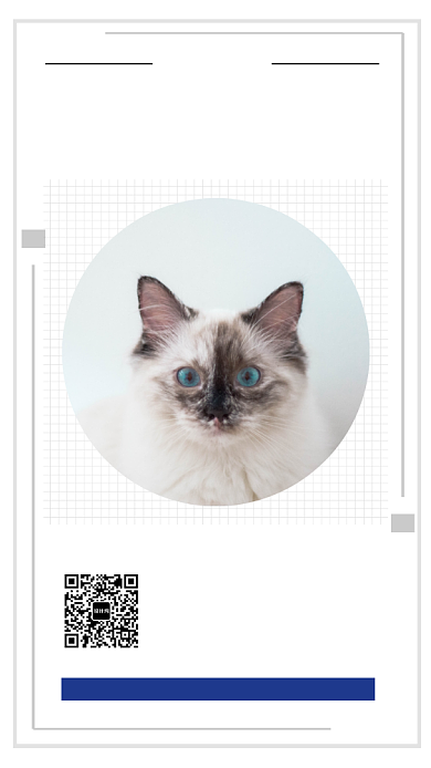 白色猫咪每日一签手机海报背景