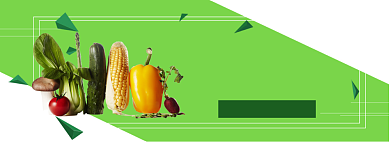 有机蔬菜折扣专场淘宝banner背景