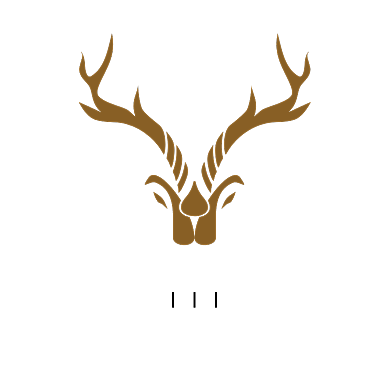 品牌设计小清新logo背景