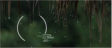 深绿色自然树叶下雨节气雨水雨滴微信公众号素材图片背景