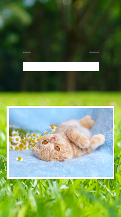 绿色高清早安日签手机海报背景