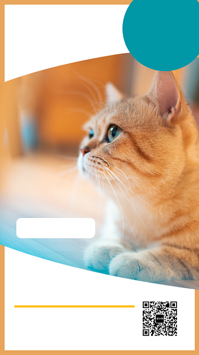 橙色温暖宠物店手机模板海报背景