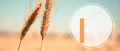 立秋唯美风景首图背景