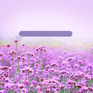 云南花海旅游淘宝主图直通车模板背景