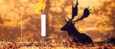 唯美立秋首图背景