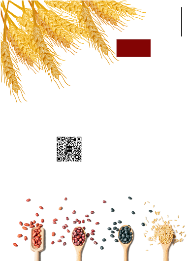 珍惜粮食海报背景