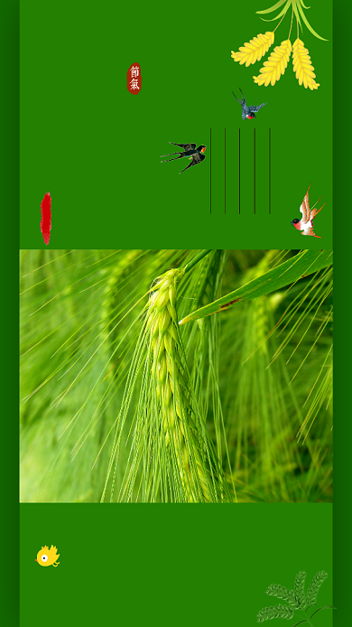 小满夏天麦子绿色燕子节气手机海报背景