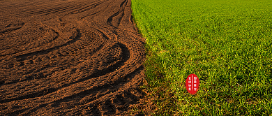 简约全国土地日公众号首图背景