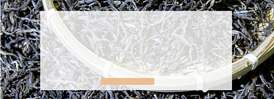 秋来茶飘香淘宝banner背景