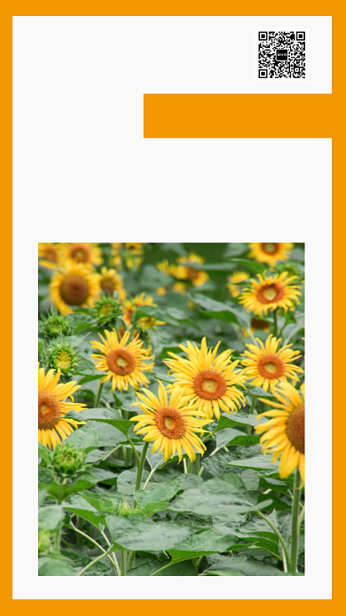 八月你好日签祝福手机海报背景