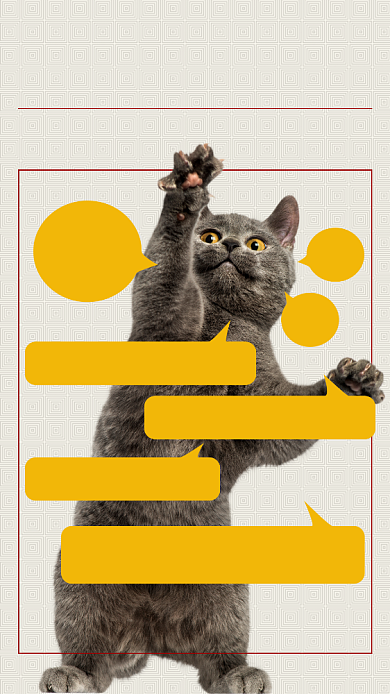 2019年网络热点猫星语海报背景