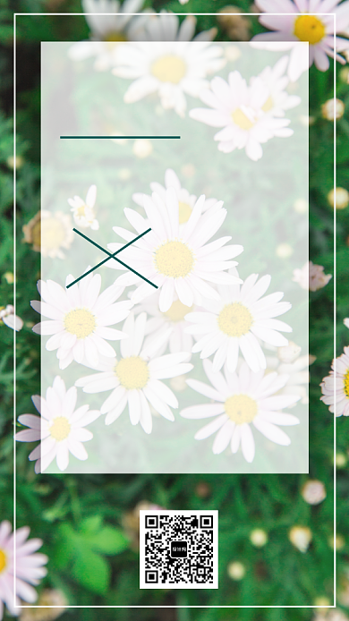 绿色摄影早安问候日签月签菊花手机海报背景