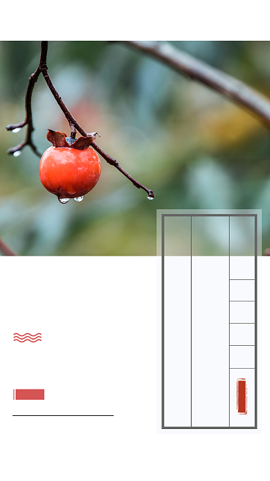 霜降传统节气摄影手机海报背景