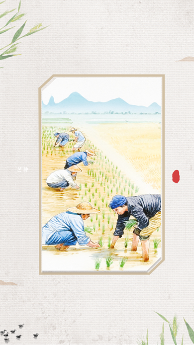 中国传统芒种节气插画海报背景