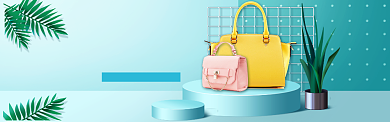 天猫双品节女包促销banner背景