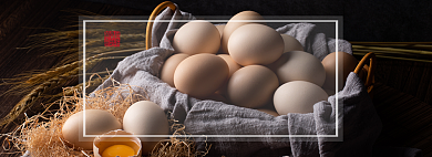农家土鸡蛋淘宝banner背景