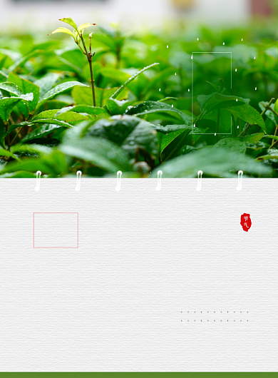 中国传统节气谷雨广告印刷海报背景