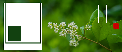 大暑节气月签公众号首图背景