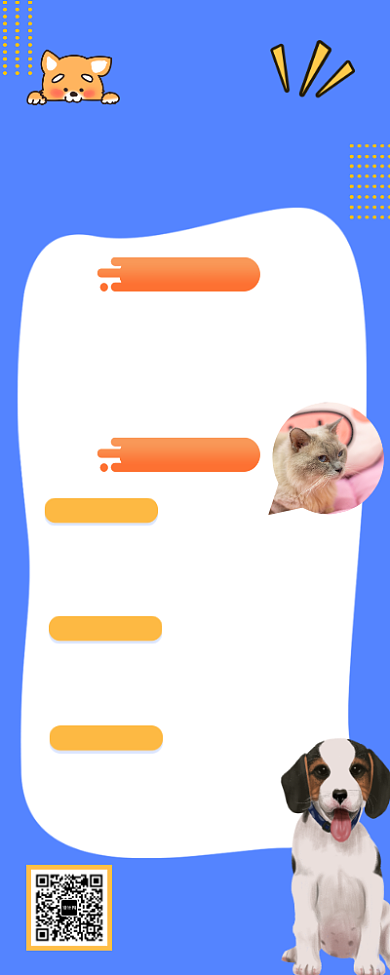 宠物医院爱宠变美营销长图海报背景