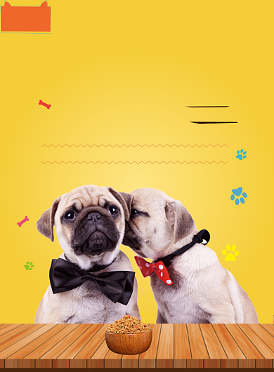 可爱清新宠物店促销印刷海报背景