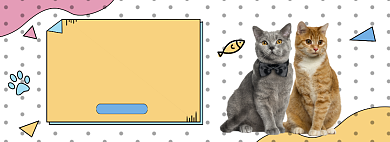 猫粮专区买一送一淘宝banner背景