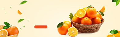 水果促销模版banner背景