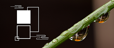 黑色树枝露水清新摄影图二十四节气白露露水微信公众号素材图片背景