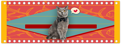 宠物猫粮淘宝电商banner图背景