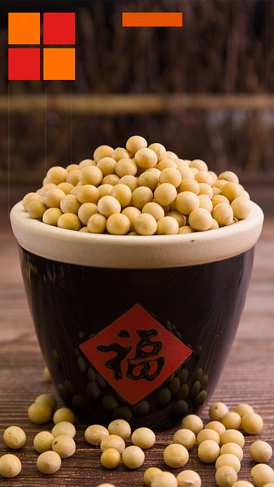 优质黄豆海报背景