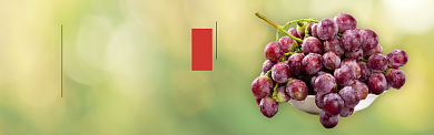 绿色水果葡萄新鲜上市促销banner背景