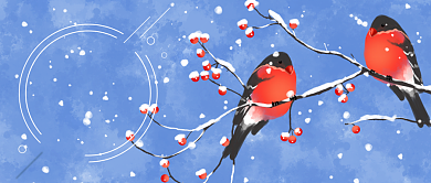 中国风二十四节气小雪花鸟公众号首图背景