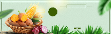 淘宝秋冬应季新鲜蔬菜banner背景