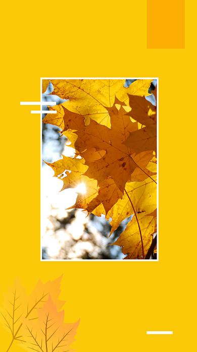 立秋枫叶日签海报背景