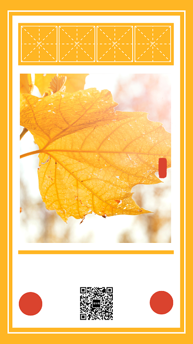 黄色简约霜降时节宣传海报背景