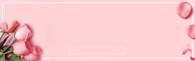七夕情人节电商淘宝粉色玫瑰花Banner背景