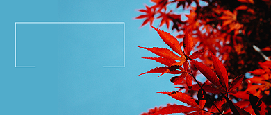 九月你好红枫叶唯美海报微信公众号素材图片背景