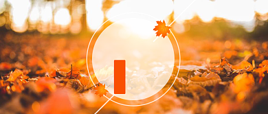 橙色立秋节日唯美首图背景