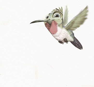 老司机带带我小鸟朋友圈封面背景