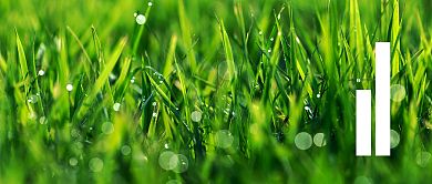 迎接新的一天公众号首图背景