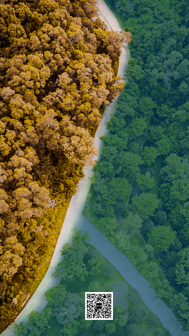 简约实景风传统节气秋分祝福海报背景