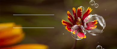 简约迎接十一月新媒体配图背景