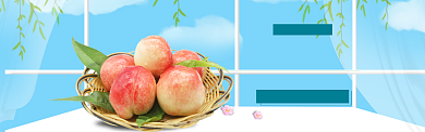 水果促销模版banner背景