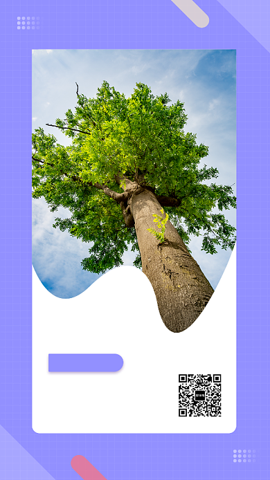 每日一签月签大气海报背景