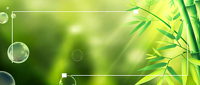 绿色清新夏季大暑节气广告微信公众号素材图片背景