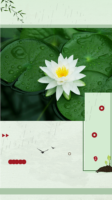 节气谷雨中国春天春暖花开池塘荷花手机海报背景