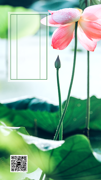 七月你好日签海报背景