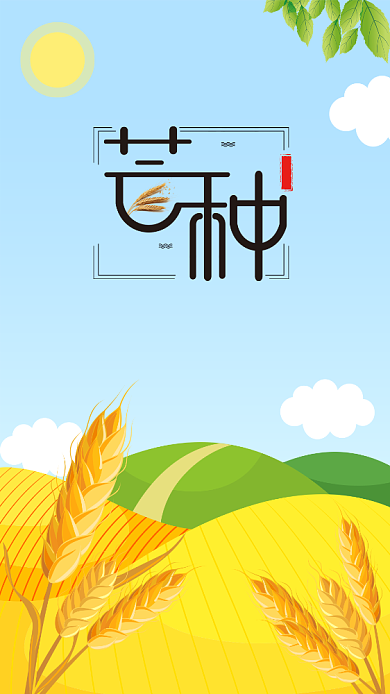 芒种插画谷物海报背景