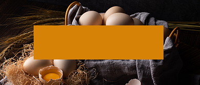 鸡蛋的营养探讨首图背景