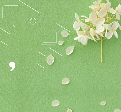 花卉你好早安绿色朋友圈封面背景